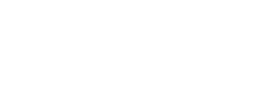 soles logo